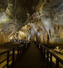 paradise cave in phong nha