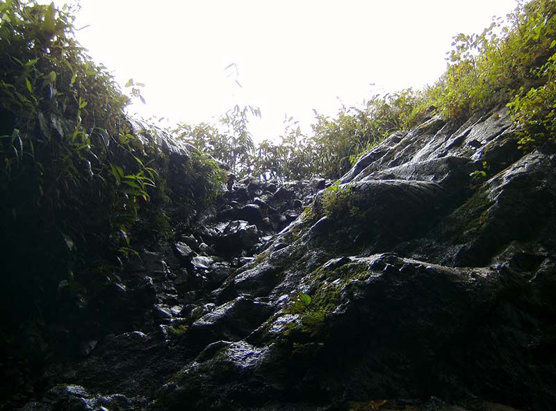 elephant waterfall dalat