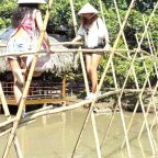 mekong delta bamboo bridge