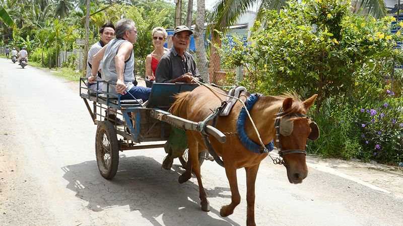 riding horse cart mekong